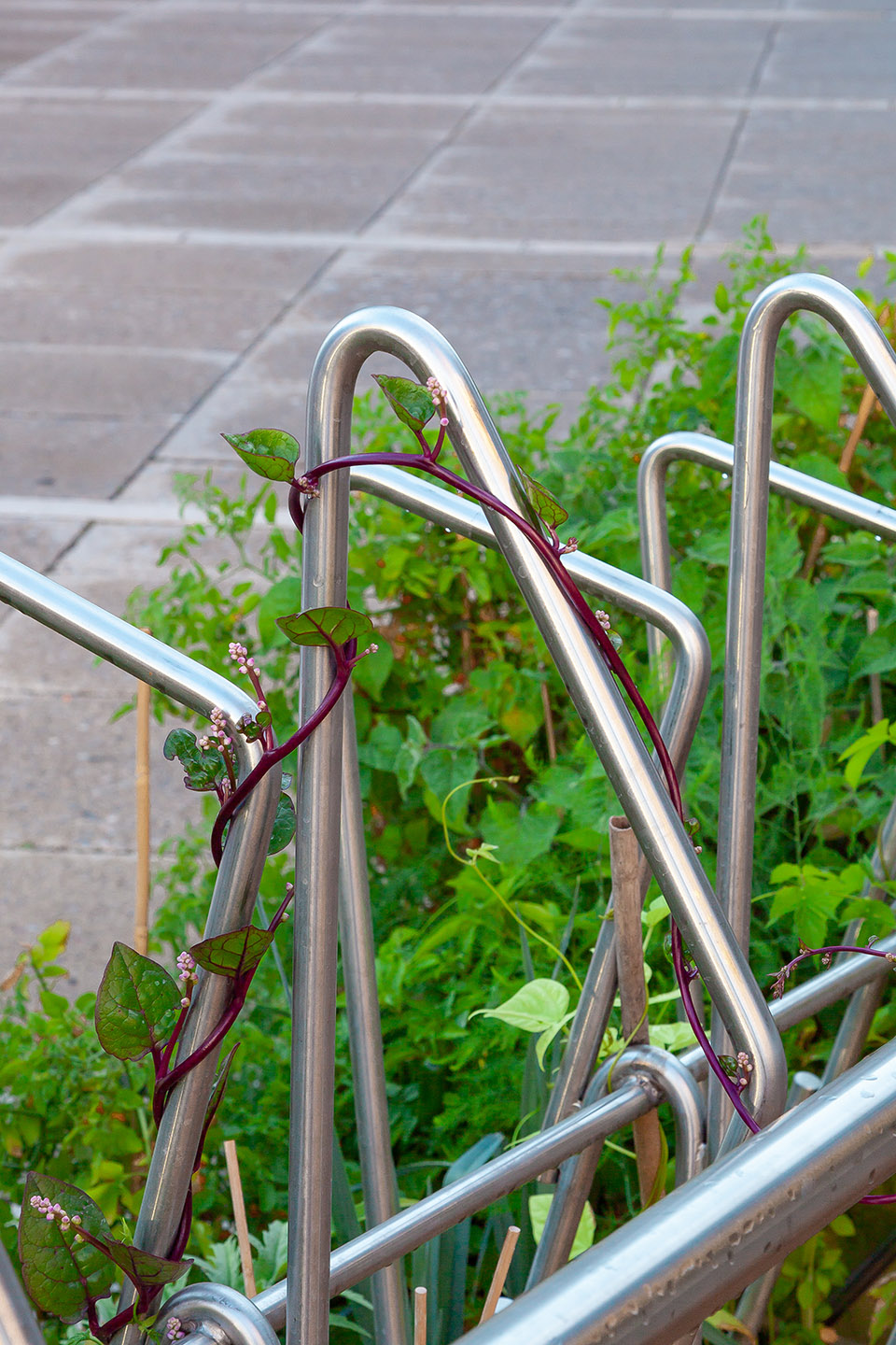 城市绿岛（Sommerbühne）丨德国丨OpenFields-45