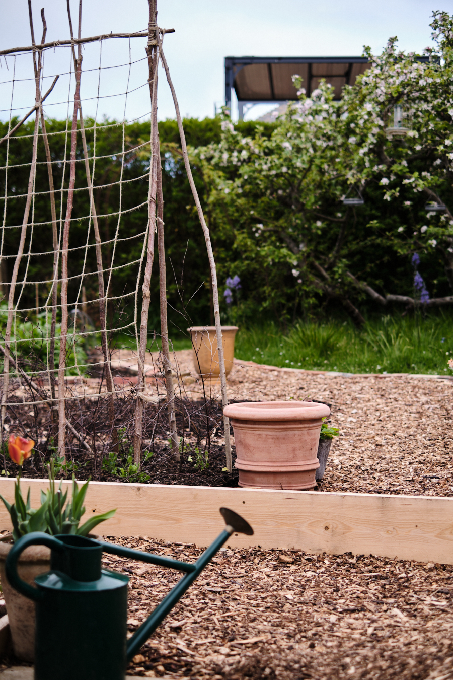 Creating a cottage garden - Lobster and Swan-30