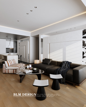 现代黑白灰-白龙马效果图