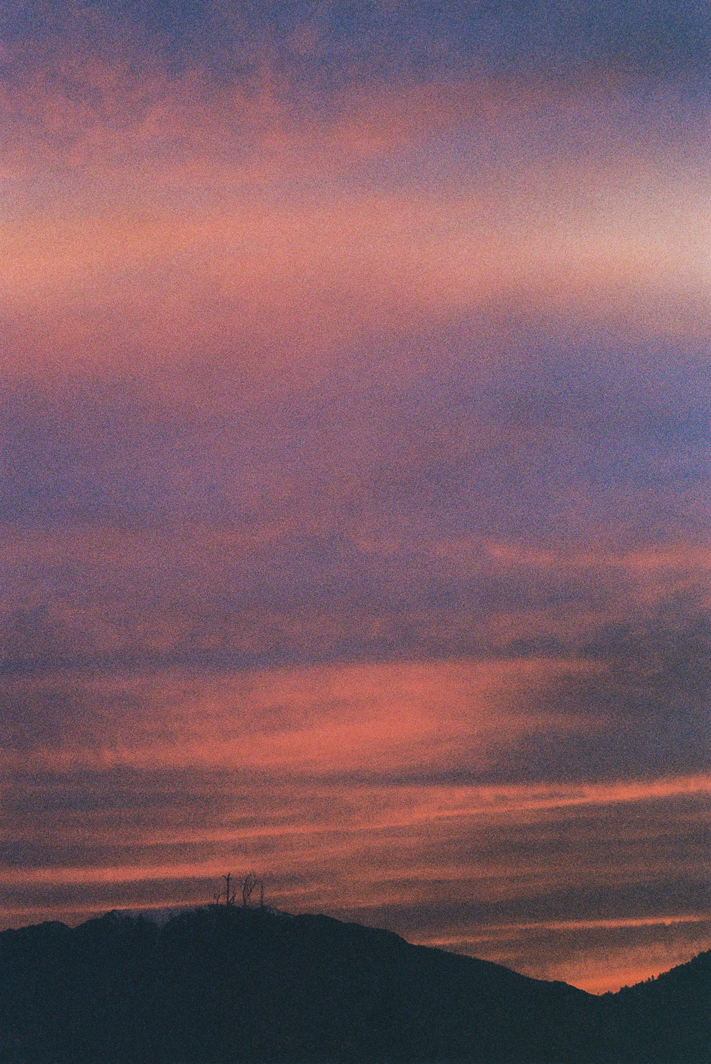 3 cities // 35mm film-2
