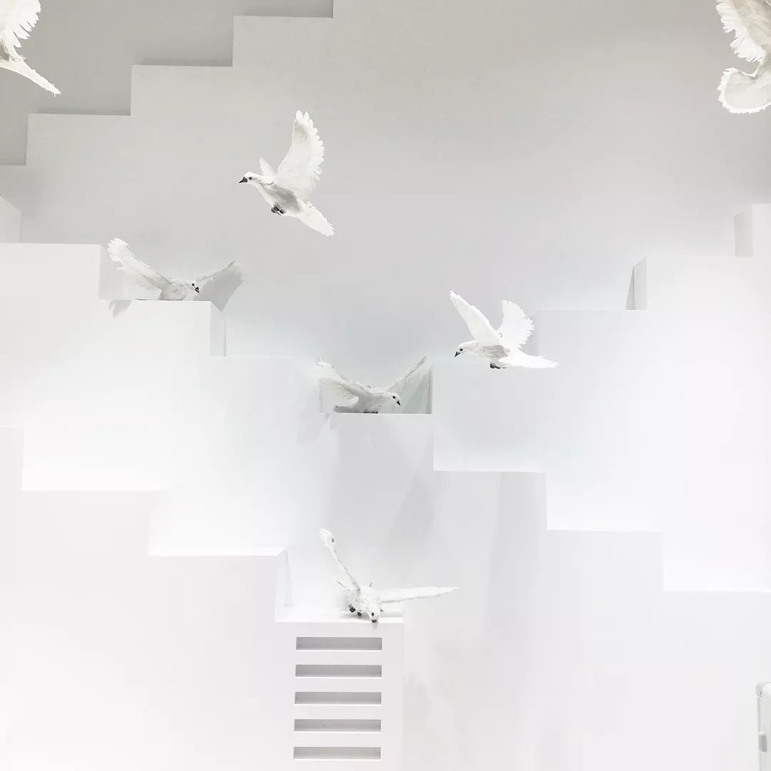 “流量收割机”，开了全球首家线下体验店-33