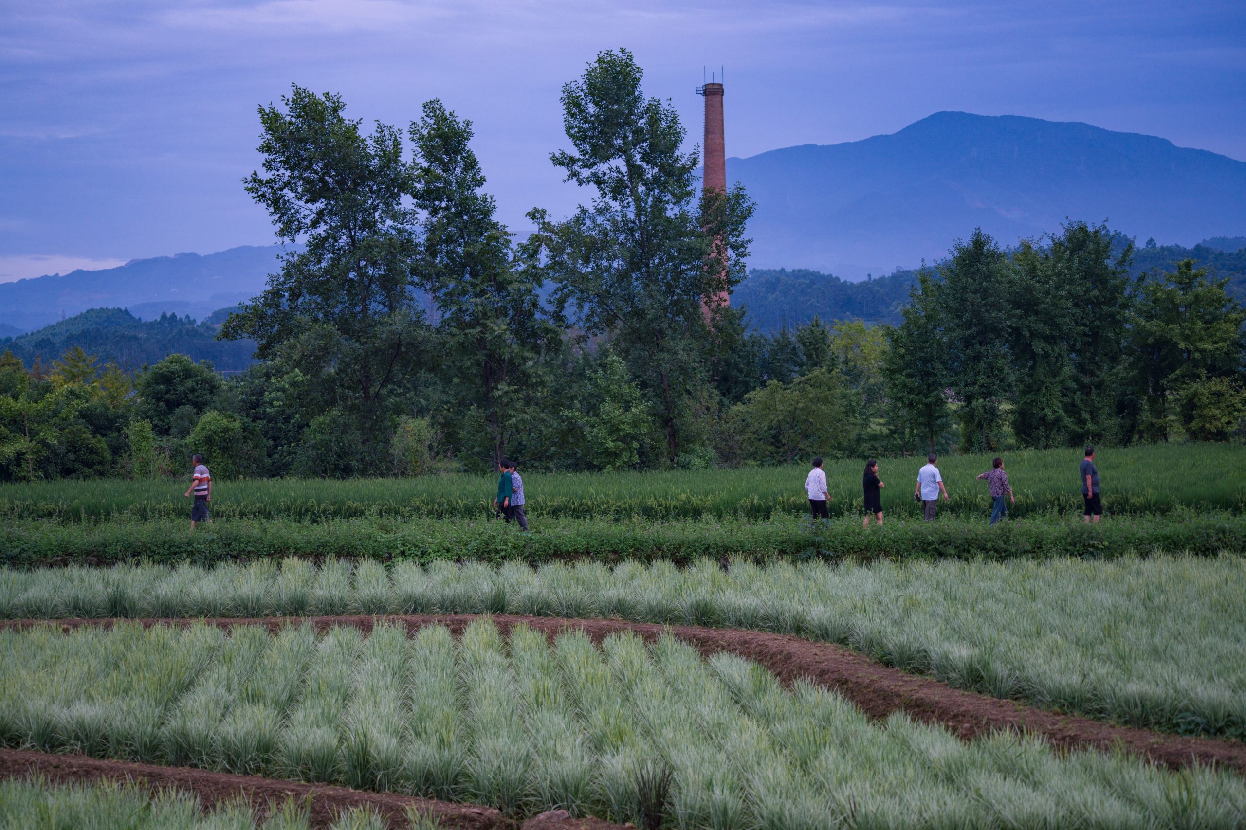 峨眉·高桥小镇丨中国眉山丨四川乐道景观设计有限公司-140