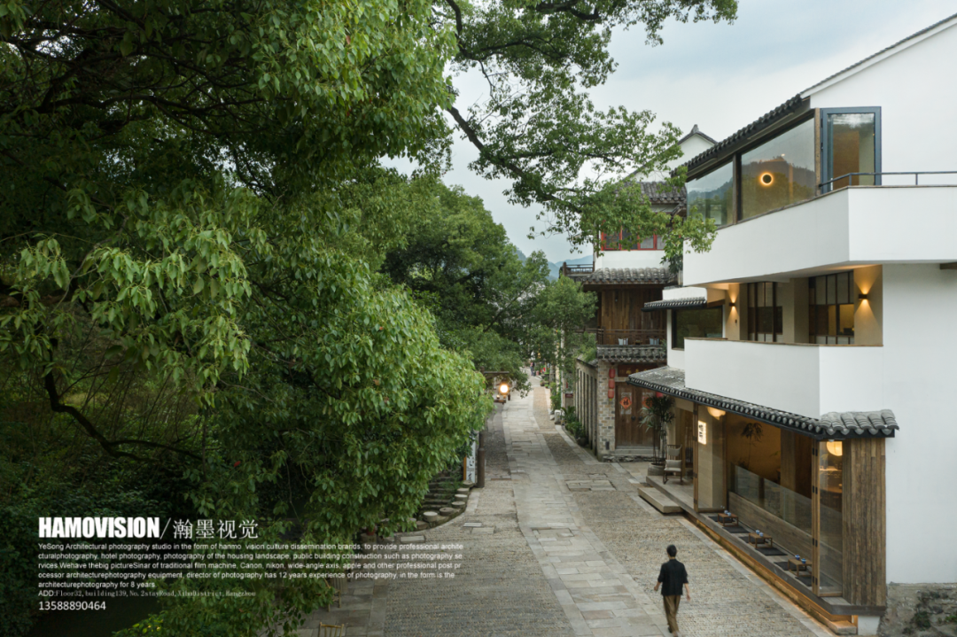 千年樟树下的茶室 · 沈墨设计的古堰画乡茶空间丨中国丽水丨杭州时上建筑空间设计事务所-14