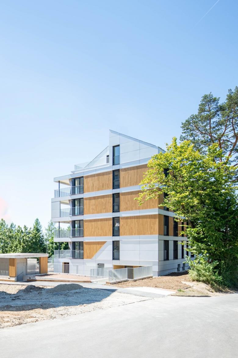 Dost Stadtentwicklung Architektur Innenarchitektur丨Umbau Wohnsiedlung Brunnenwiesenstrasse Neuhausen SH丨瑞士-0