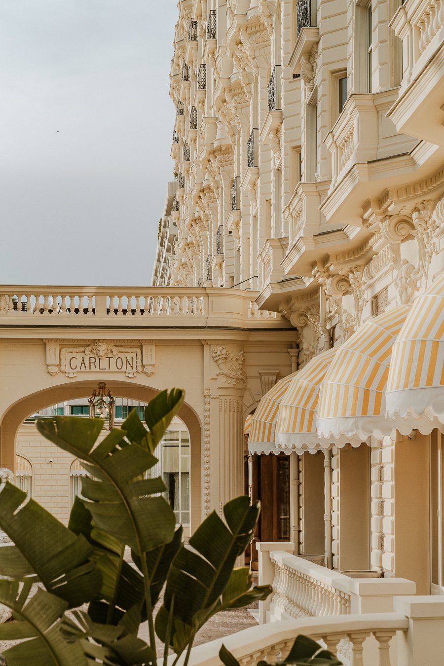 Carlton Cannes — Tristan Auer-14