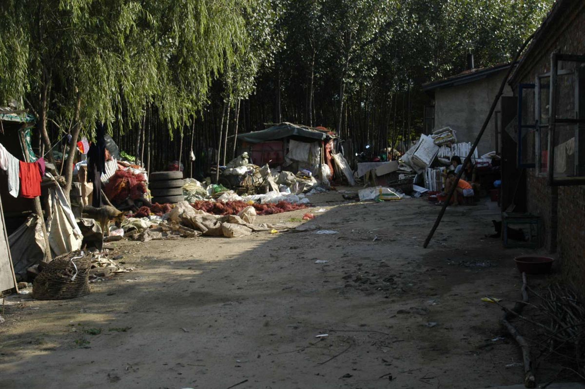 秦皇岛红丝带公园丨中国河北丨土人景观设计公司-21