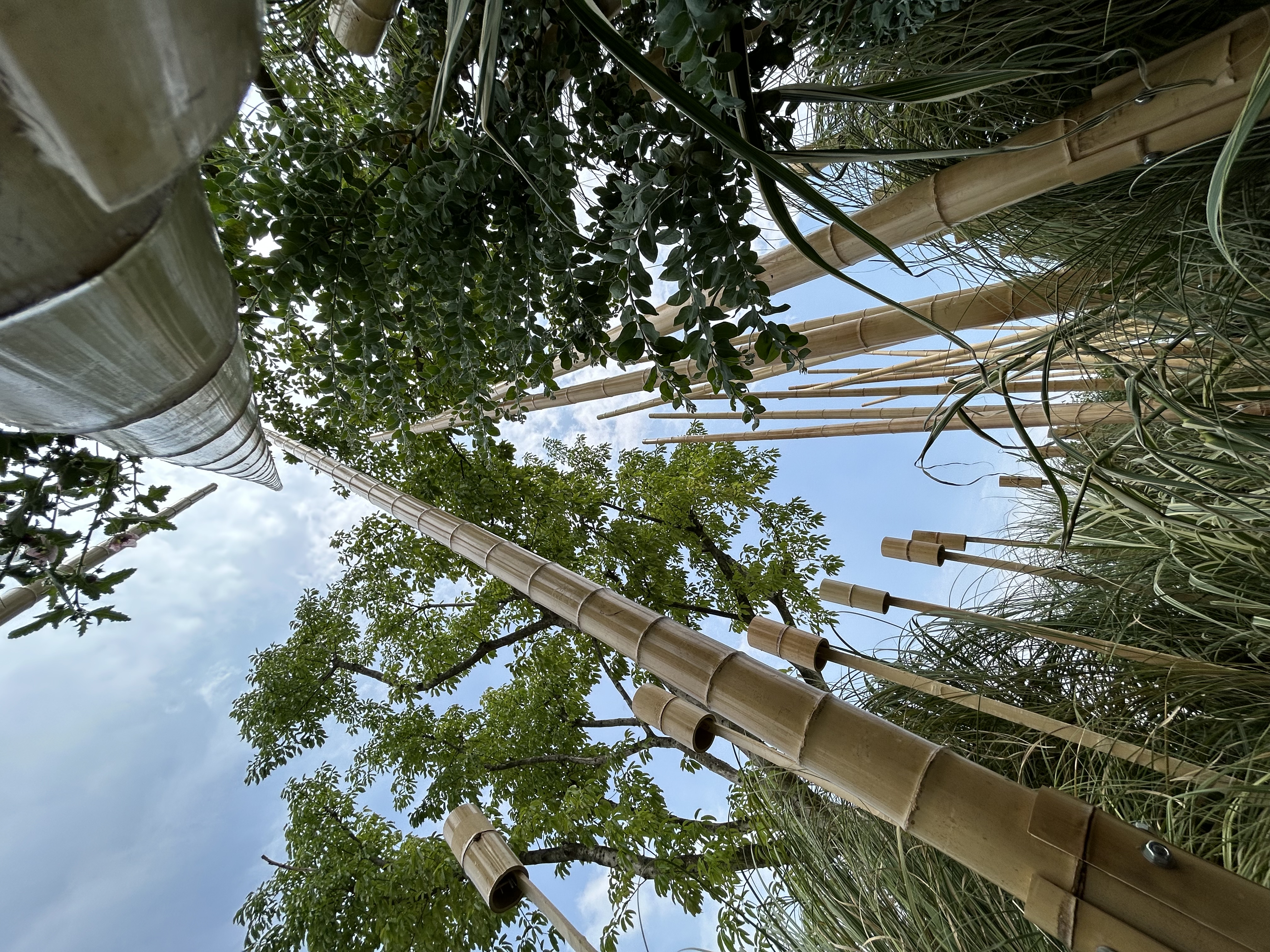 竹林丨中国成都丨Atelier Folie（北林风景建筑研究中心）-24