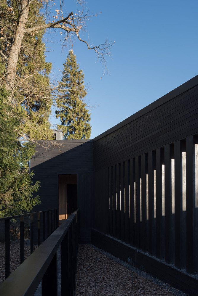 俄罗斯莫斯科 Oblast 老松树环绕的生态家园-44