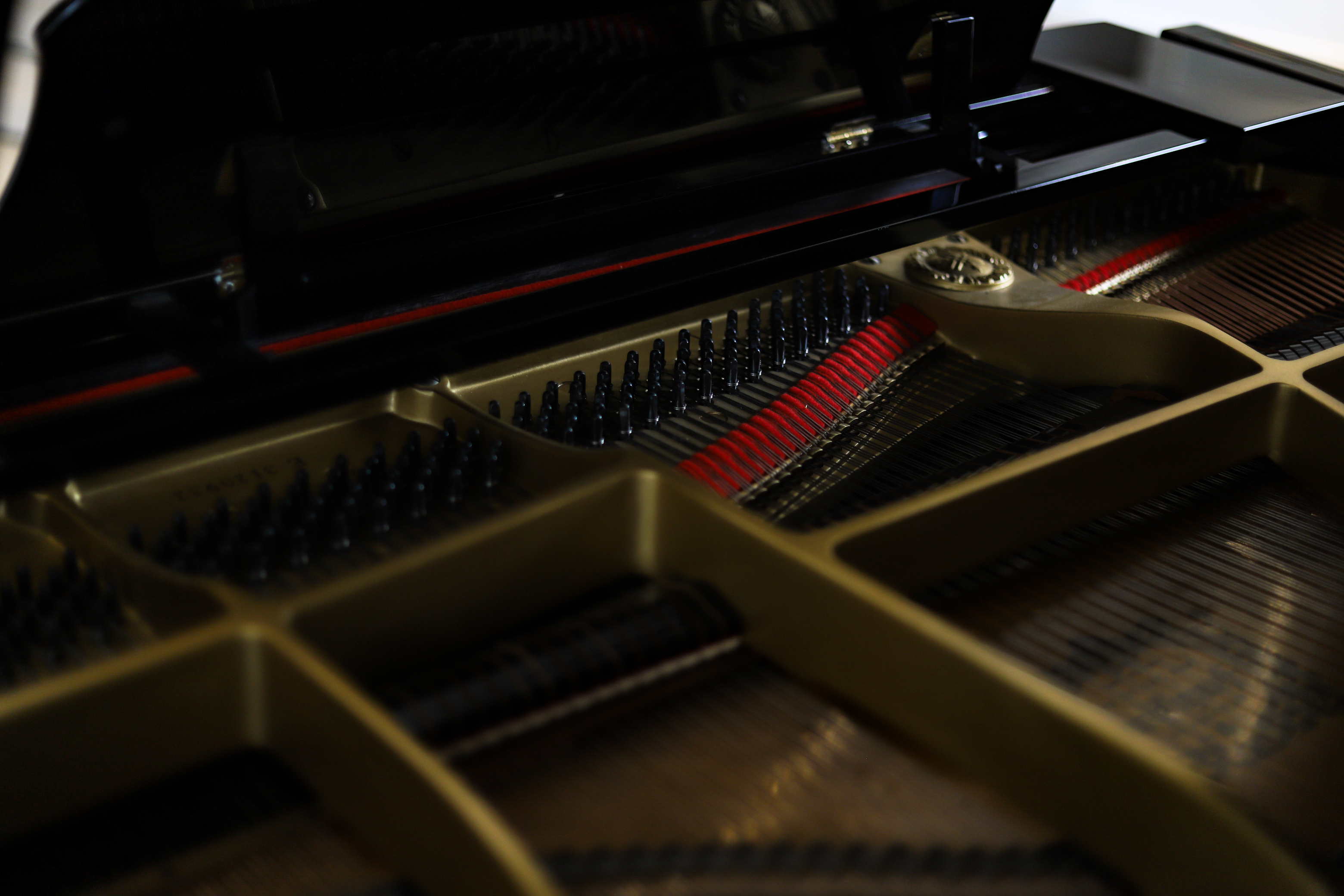 杭州萧山琴行（信息港店）-17