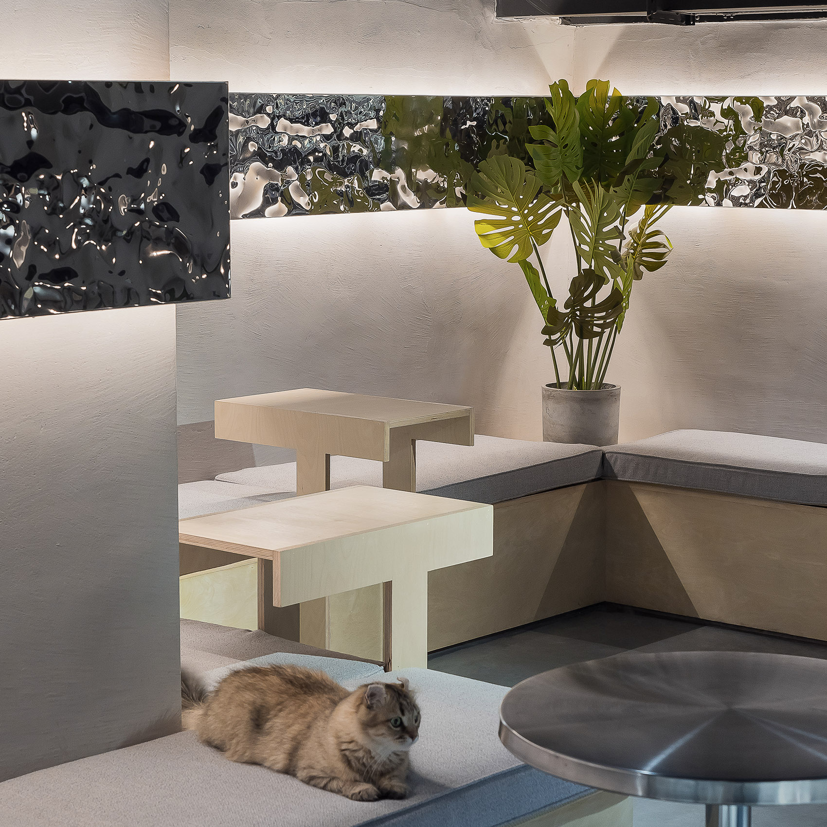 就是这样的喵，广州 / E Studio 壹所设计工作室-38