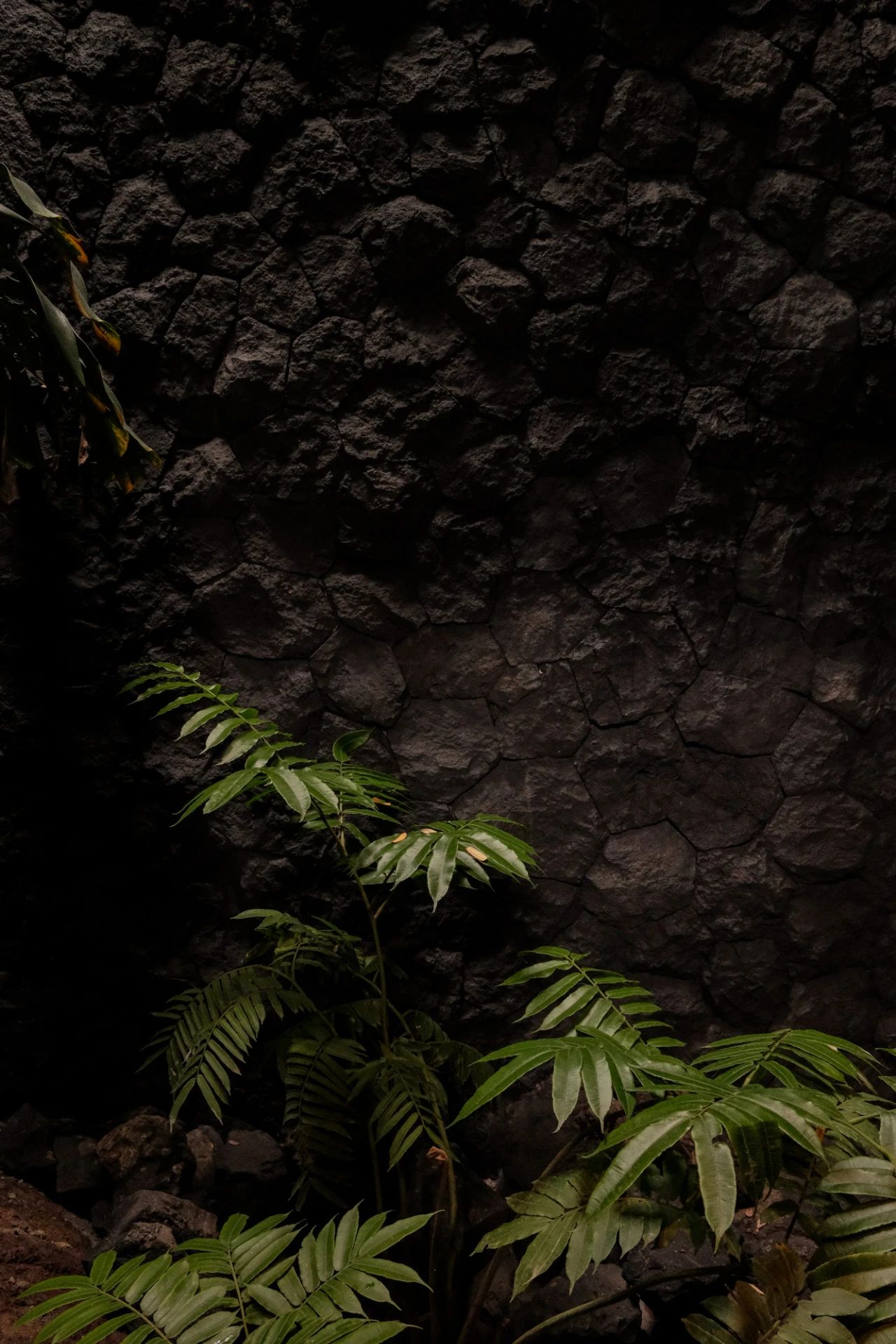 Janjisurga雨林别墅丨印度尼西亚巴厘丨Nataneka Architect-36