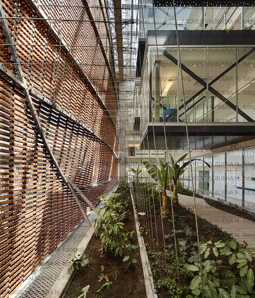 哥伦比亚波哥大圣菲德波哥大医院扩建工程丨El Equipo de Mazzanti-15