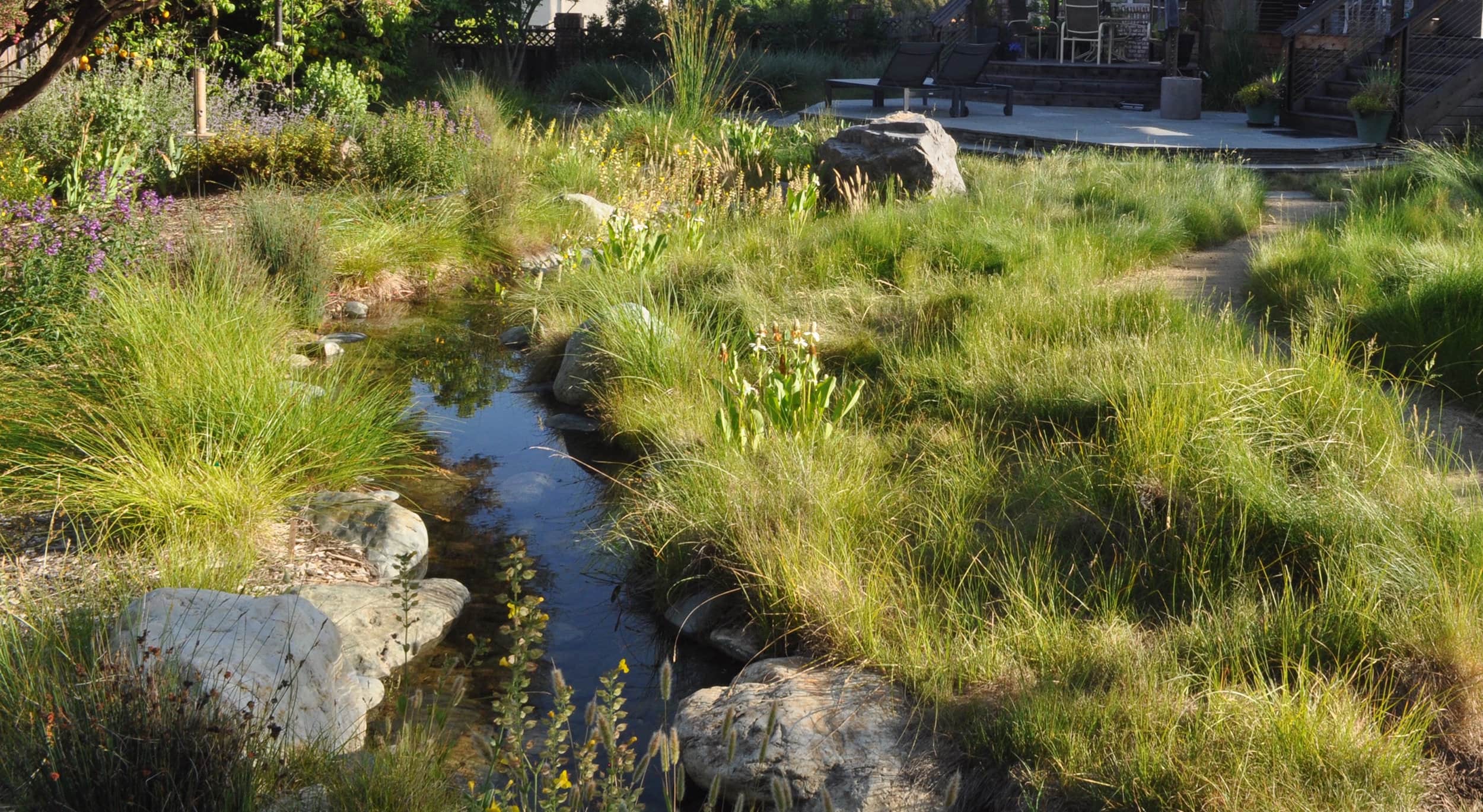 小面积荒野丨Huettl Landscape Architecture-4