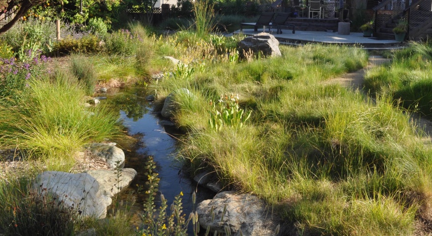 小面积荒野丨Huettl Landscape Architecture-4