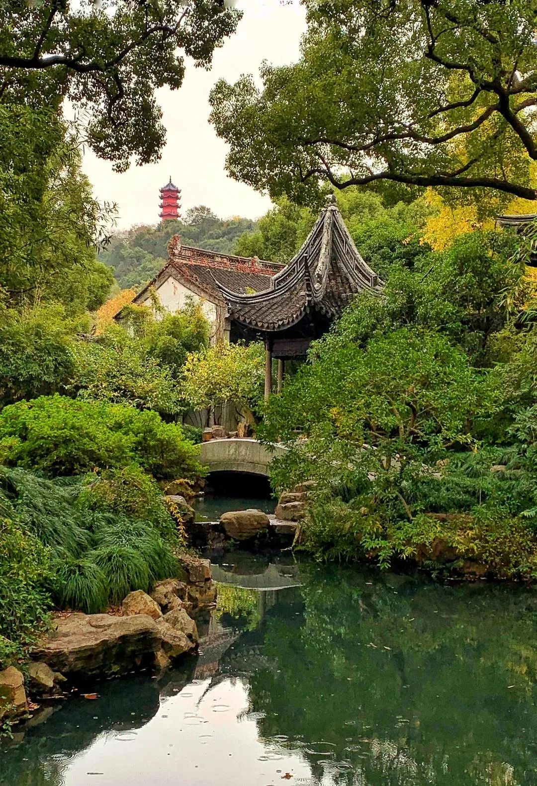 寄畅园 · 山水之间的静谧园林之美丨中国无锡-20