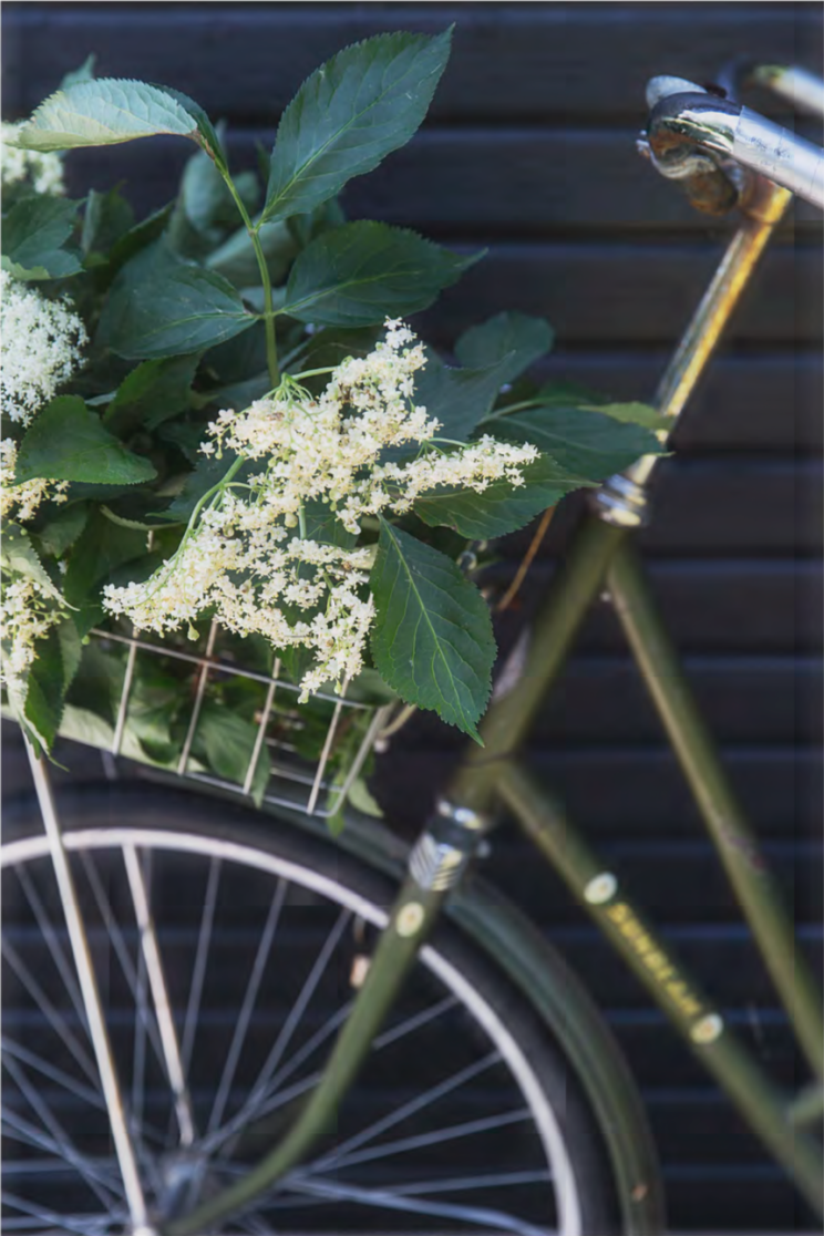 丹麦海滩附近经典凉亭的改造  RUM4-20