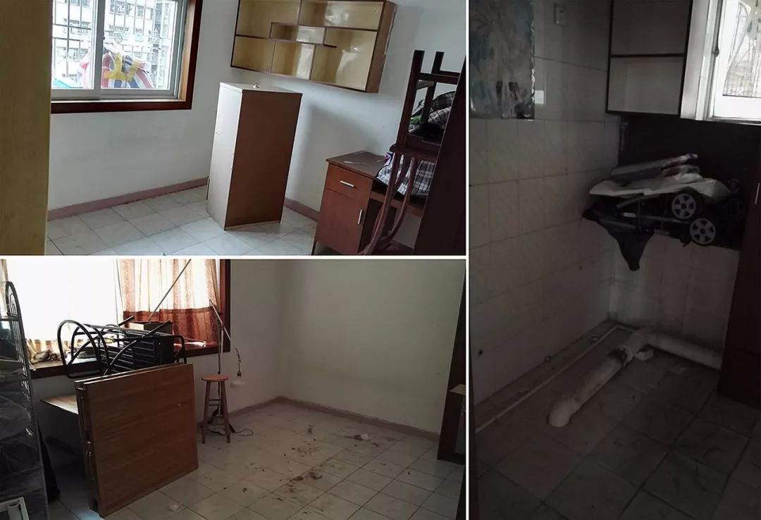 未耒 | 三房两猫-80