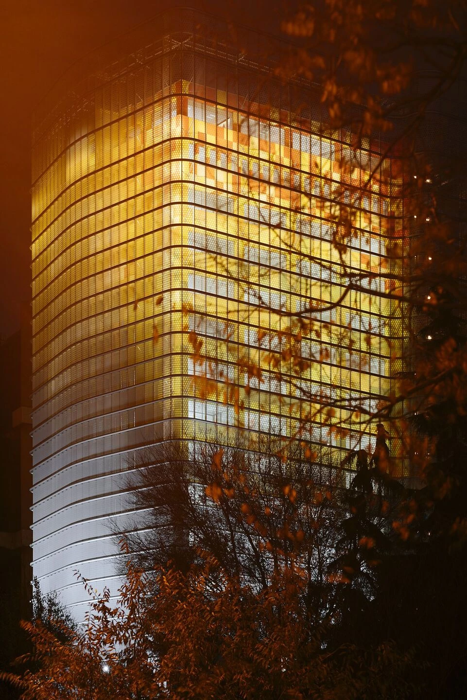 马德里“塔 30”现代办公楼翻新-10