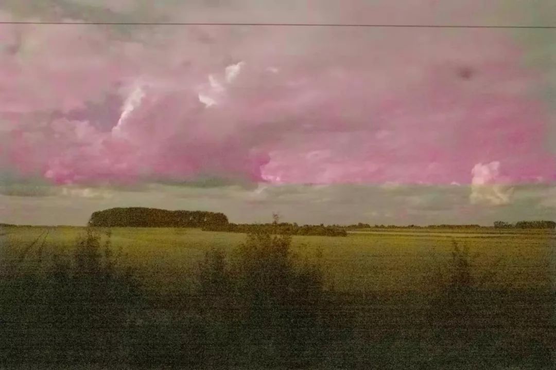 《丽芳园记》艺术盛宴,城市与自然的和谐交融-5