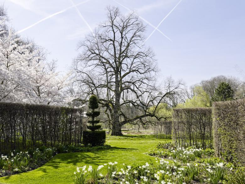 Geneva项目(未明确具体名称)-4