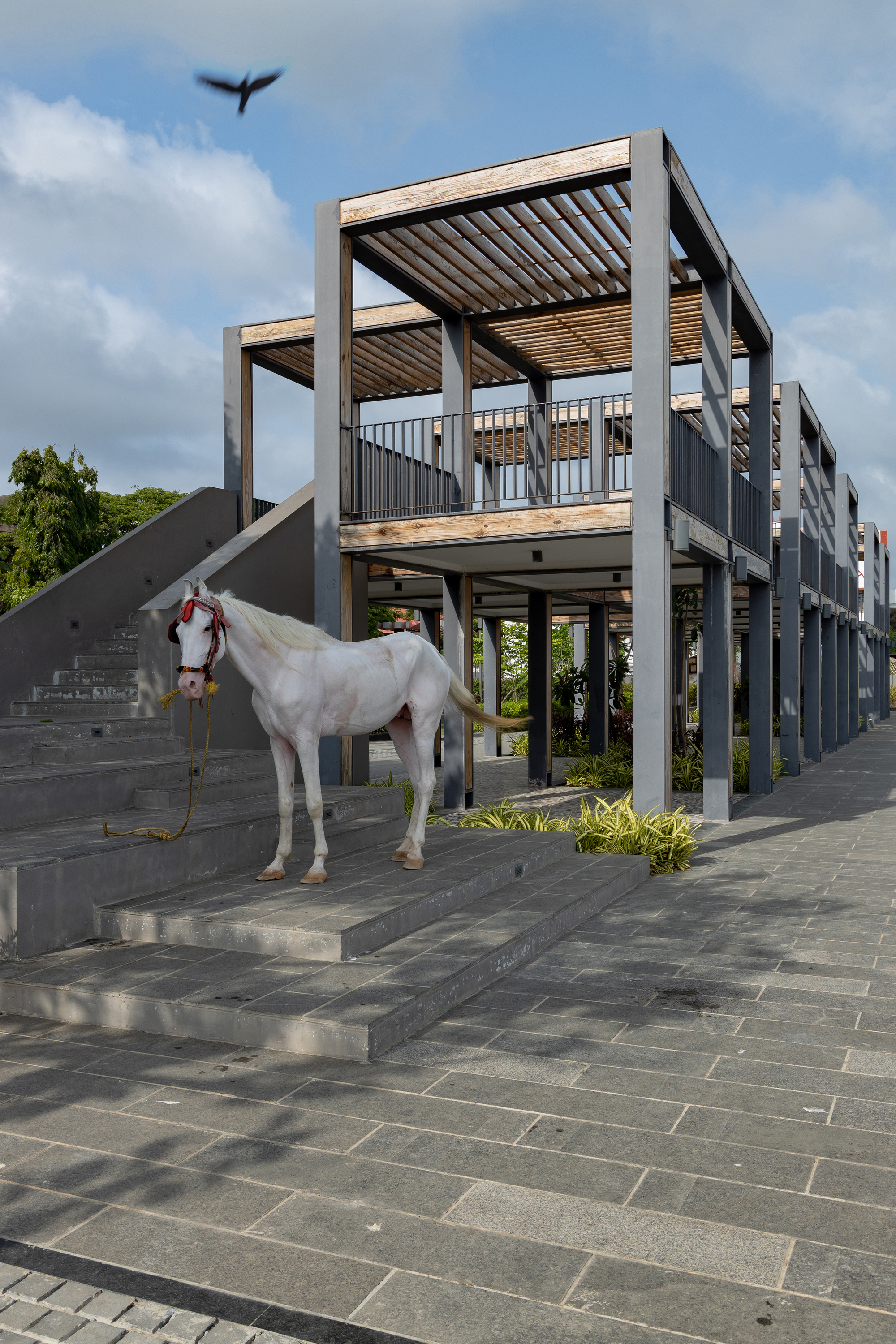 Jetty Garden  融合自然与现代的滨水公共空间丨印度达曼-7