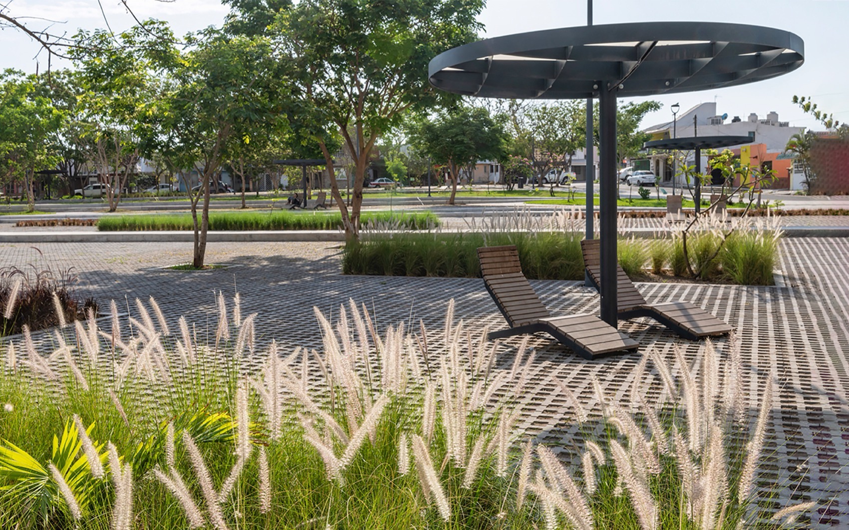 Apulco公园丨墨西哥韦拉克鲁斯丨Taller Multidisciplinar-11