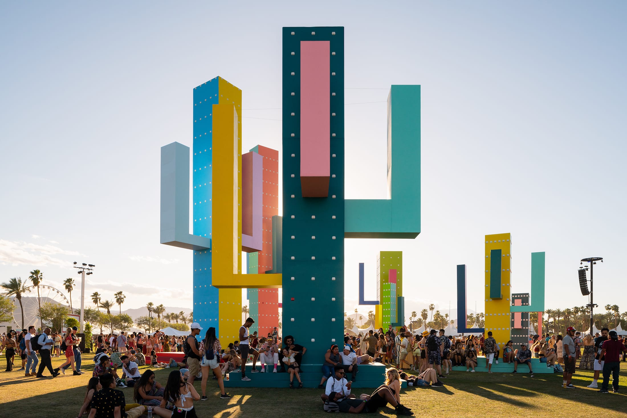 巨大仙人掌,科瓦奇办公室-5