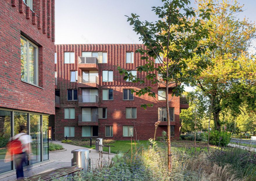 丨英国曼彻斯特丨Mecanoo-23