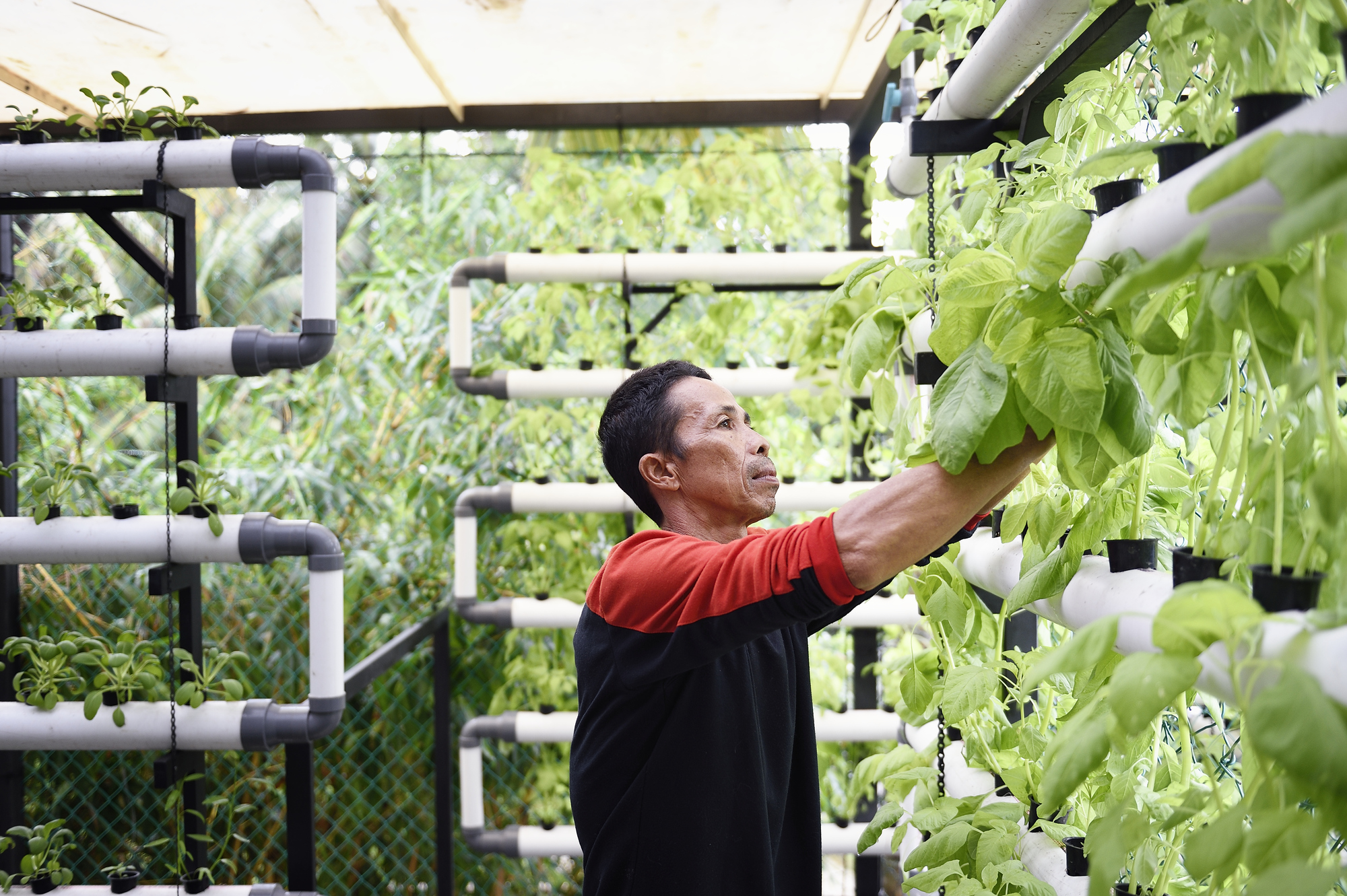 Expandable House Part 02 / Urban Rural Systems-39