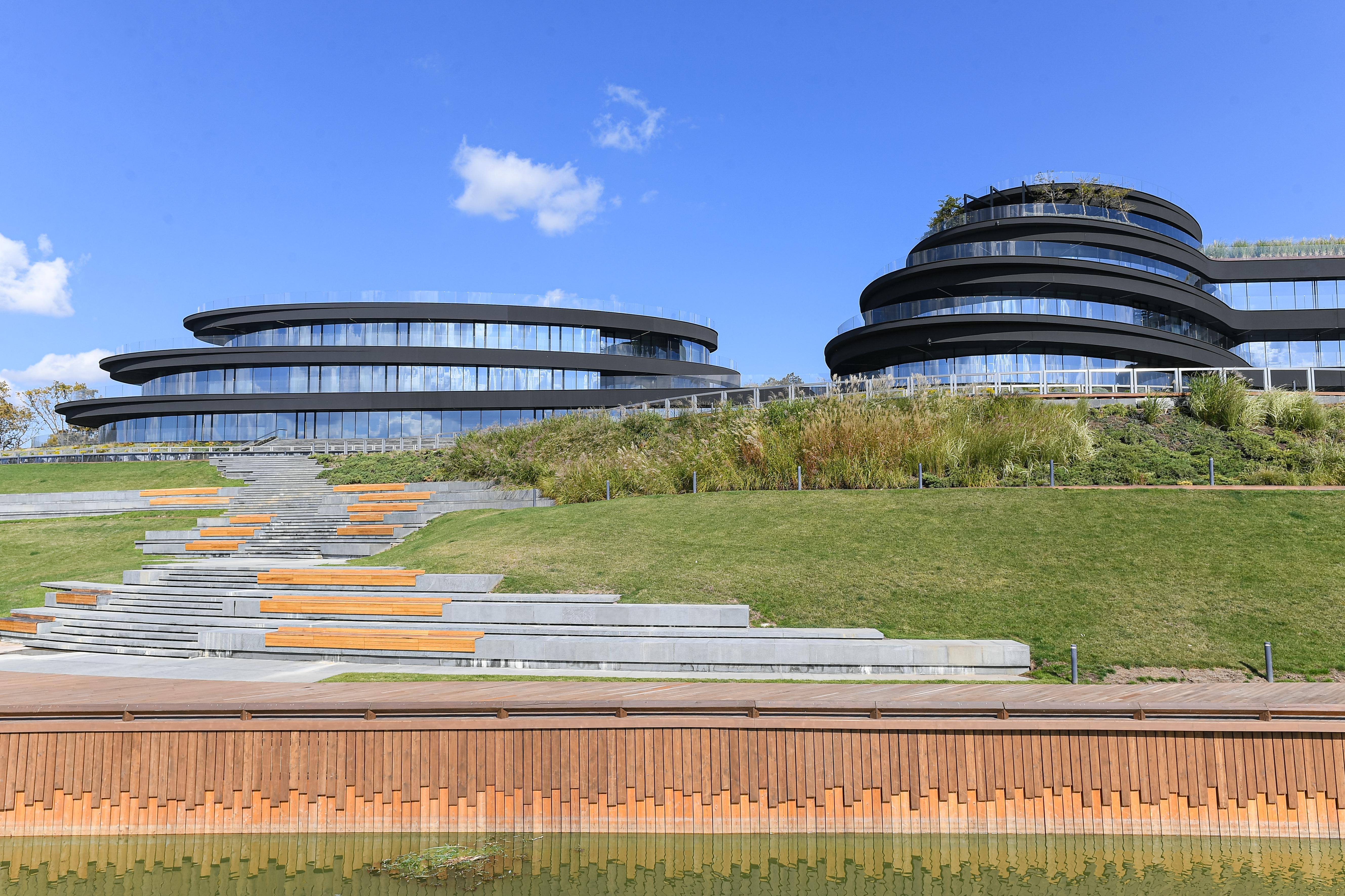 [ЧЕТУК] для ФК Краснодар-13