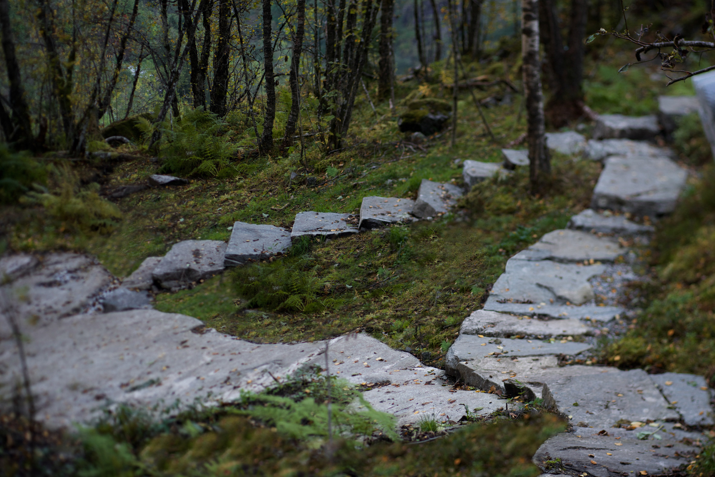 Fortunen completes toilet block with views of a Norwegian valley-21
