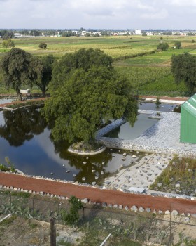 Pooling Xolox | Taller Capital