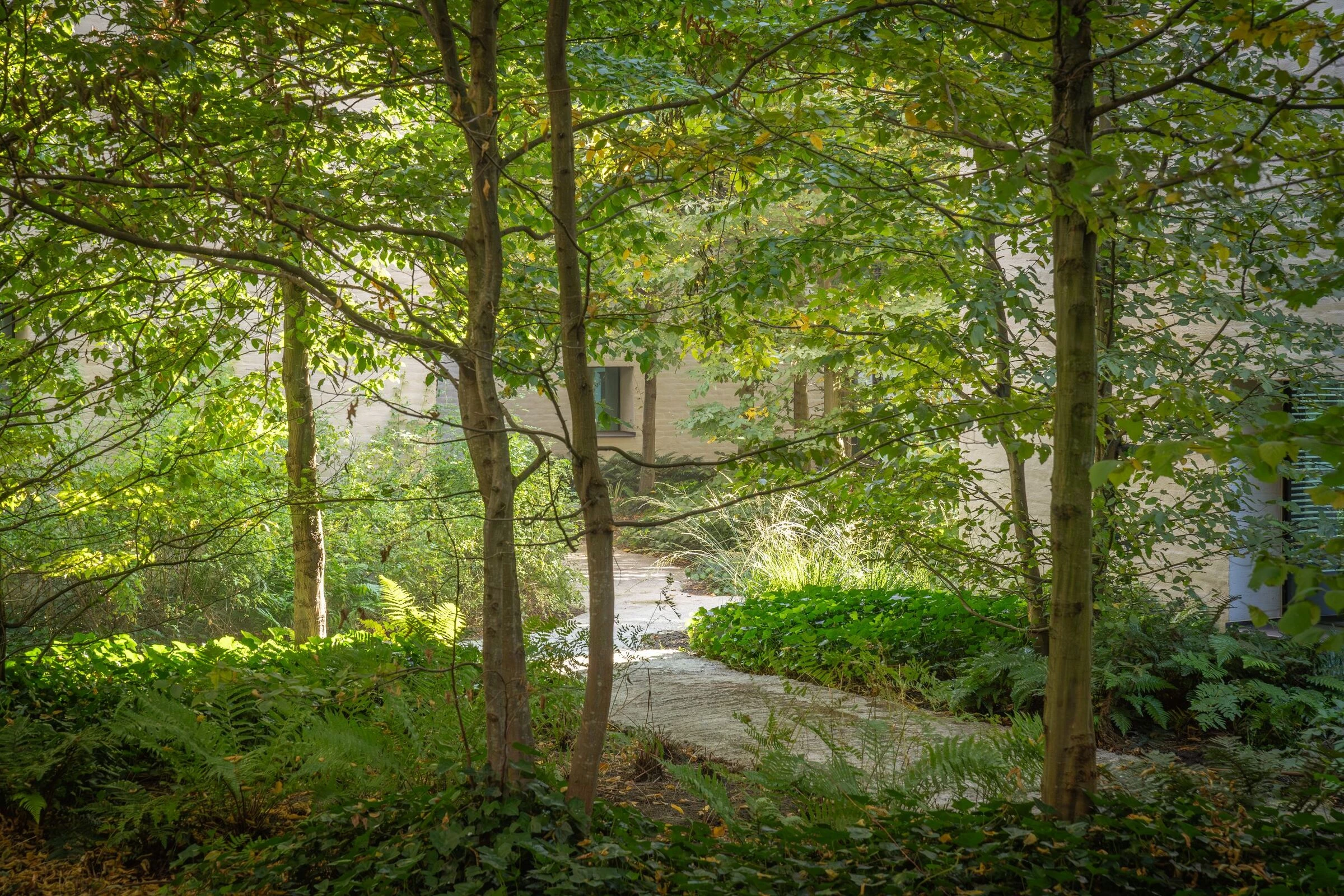 运河水道渠道丨比利时-4