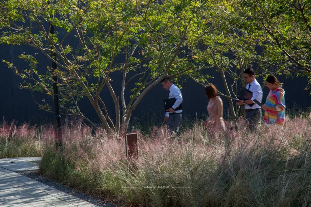 南京弘阳金辉·时光悦府 | 自然与设计的和谐共生-132