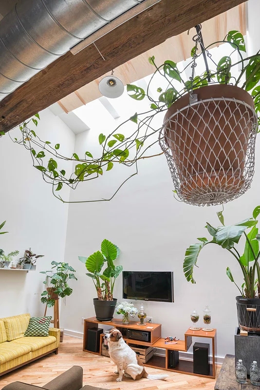 豪华别墅 现代风格美国费城的废弃泡菜场改造住宅-17