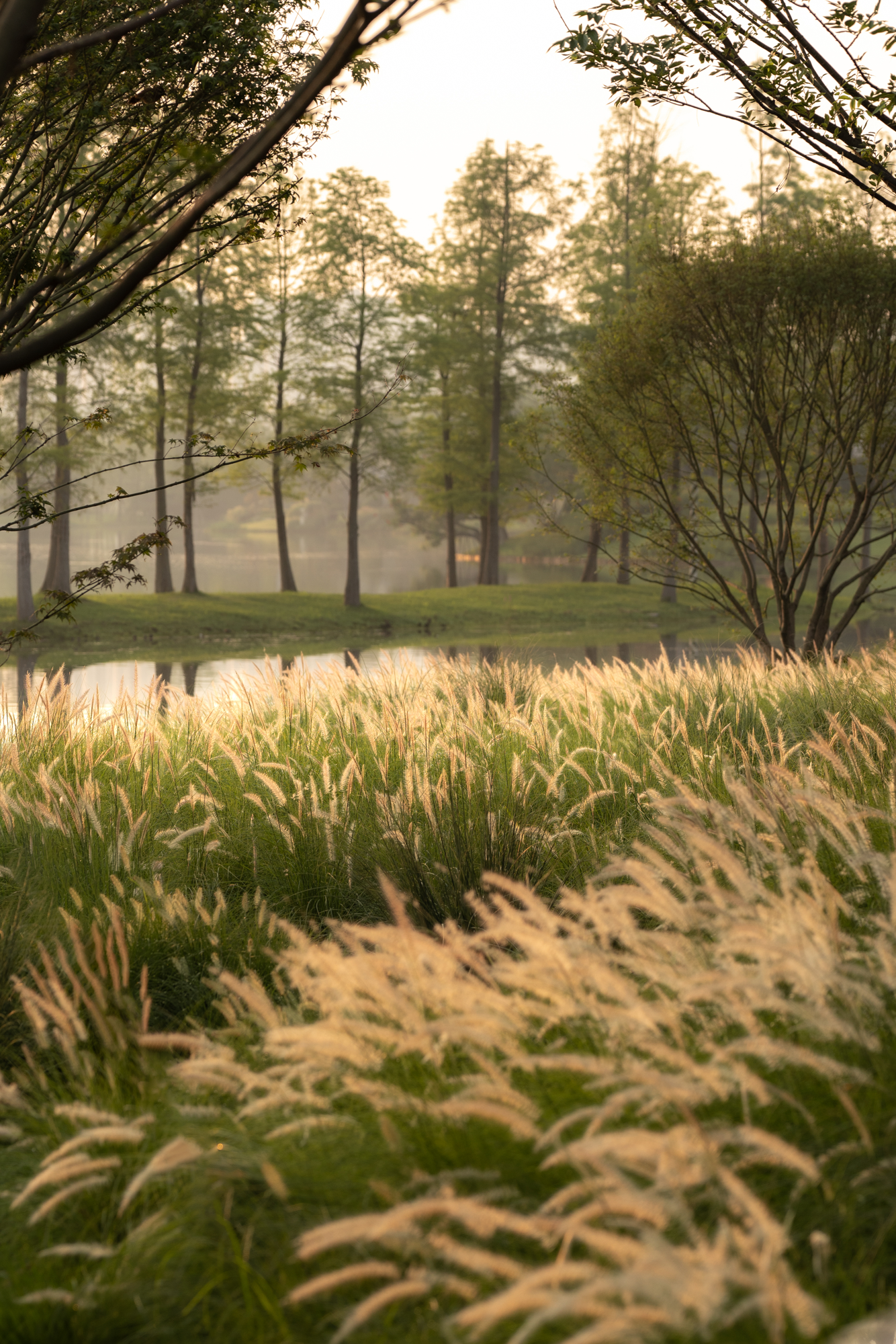 成都麓湖C7玄鸟湾示范区丨中国成都-110