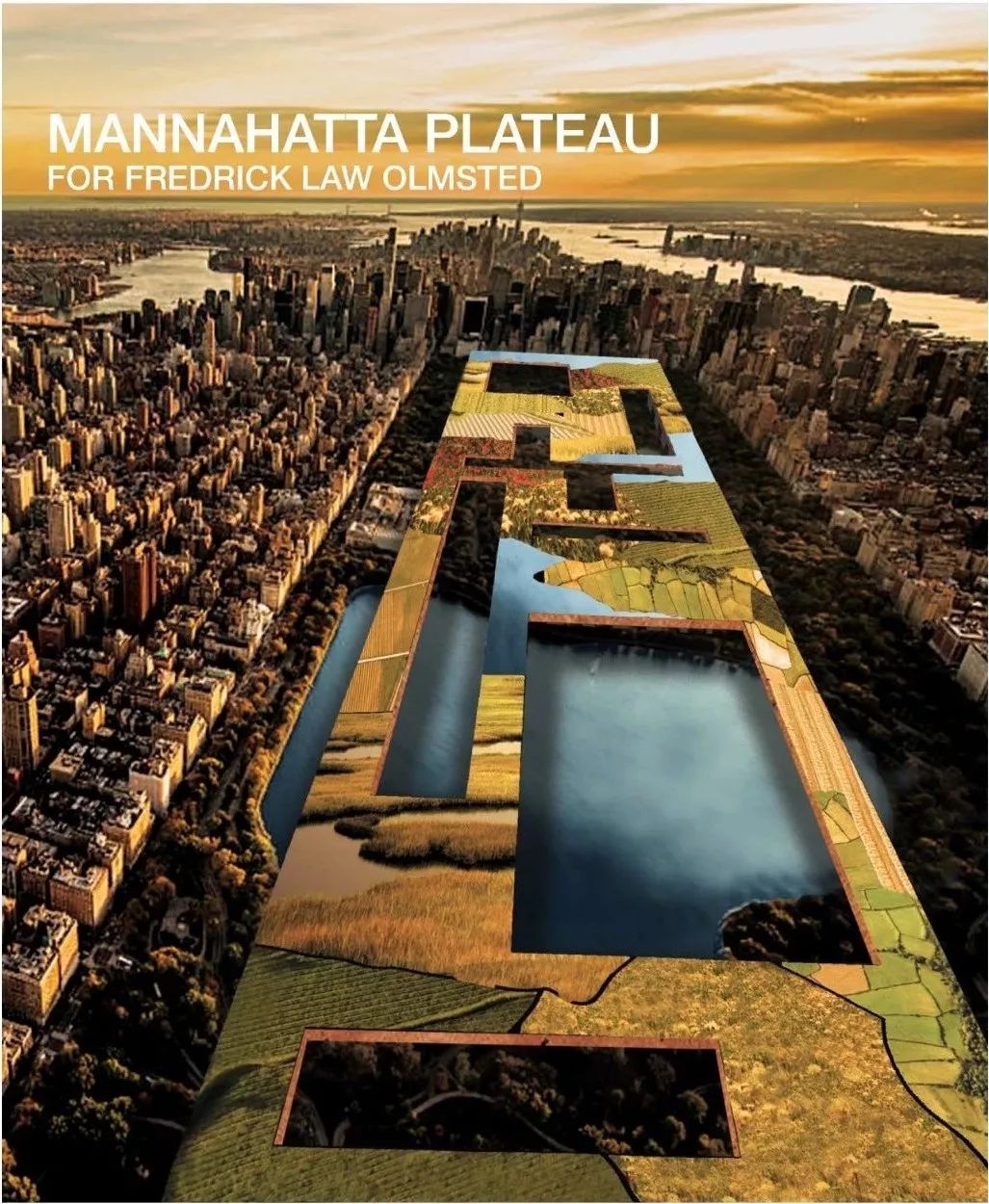 生态重建的中央公园 | Geoscraper 的垂直绿化设计-11