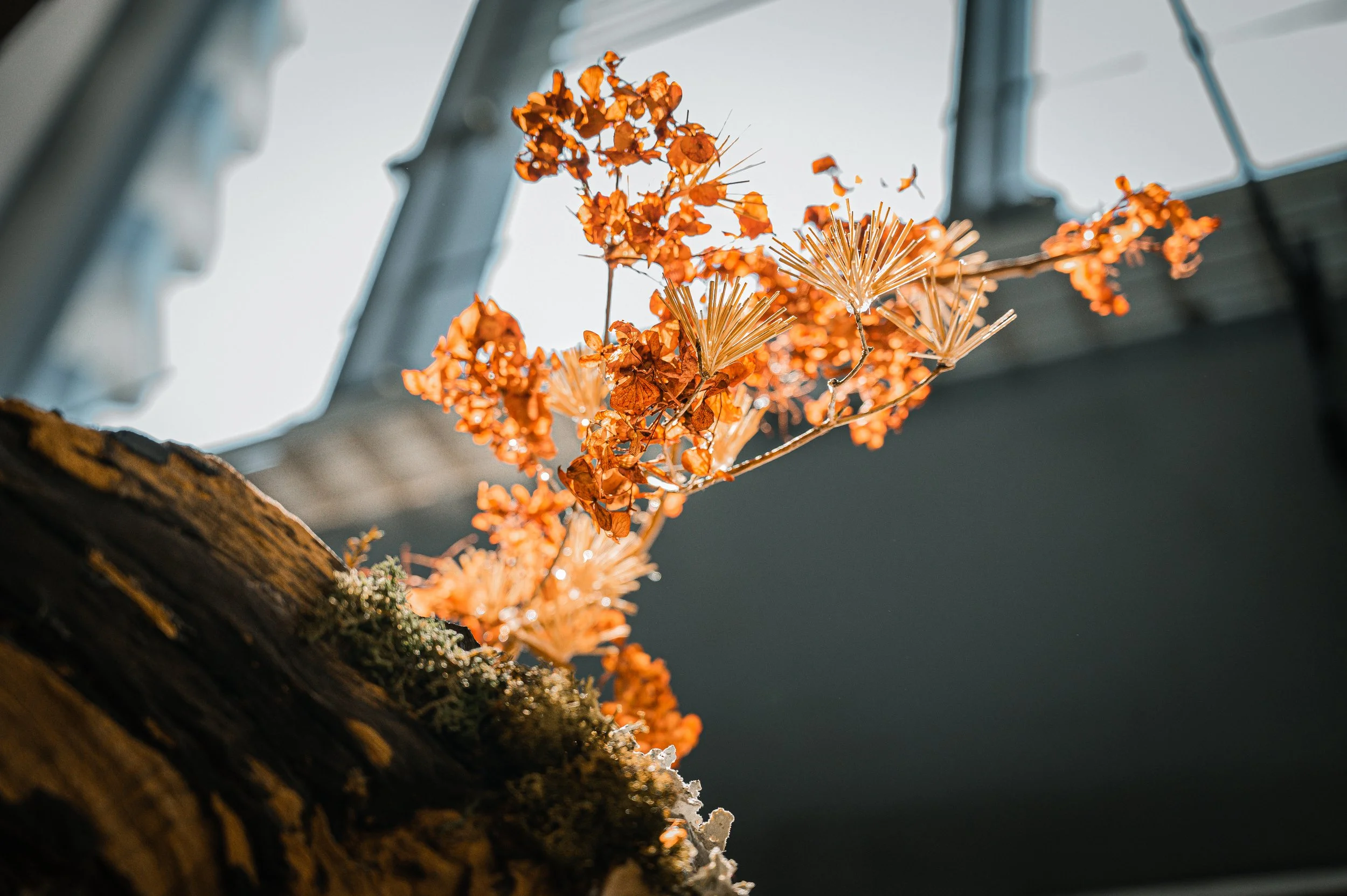 Slice of Taste(富錦樹臺菜香檳)-9