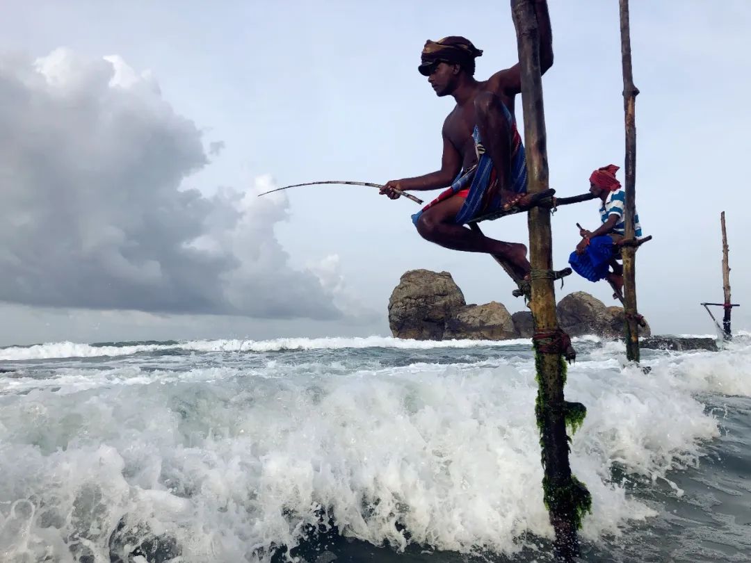 游走的心灵设计 | 远方的田野-55