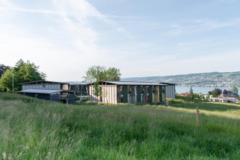 Trift Kuppe丨瑞士丨manoa landschaft ag-0