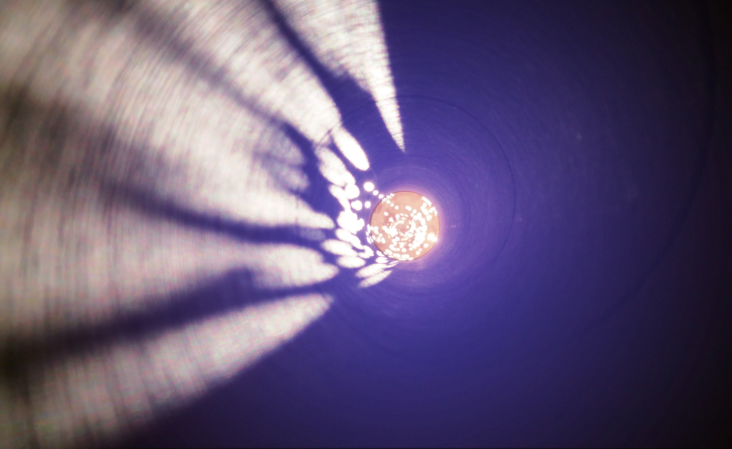 Star Gardens; Purple Hollow — endemicarchitecture-11