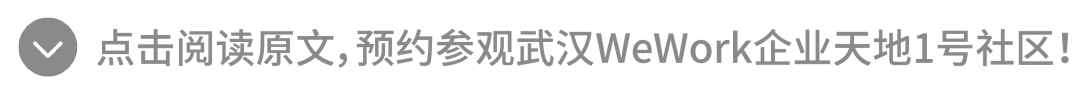 武 汉 开 楼丨「武」彩斑斓，双品呈现-94
