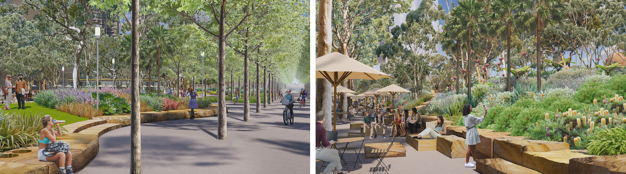 Honoring First Nation and The Gadigal People — PWP-2