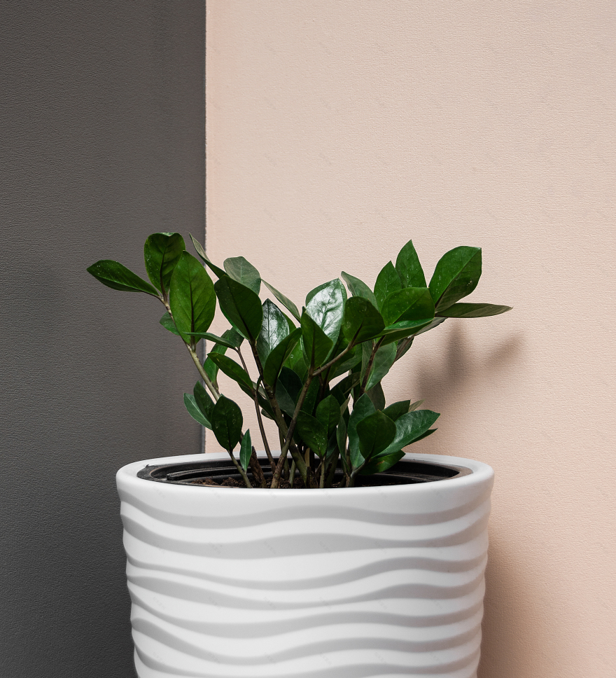 猴子及其栖息地主题公寓室内设计-21