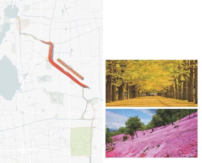 张家港河生态廊道设计丨中国江苏-148