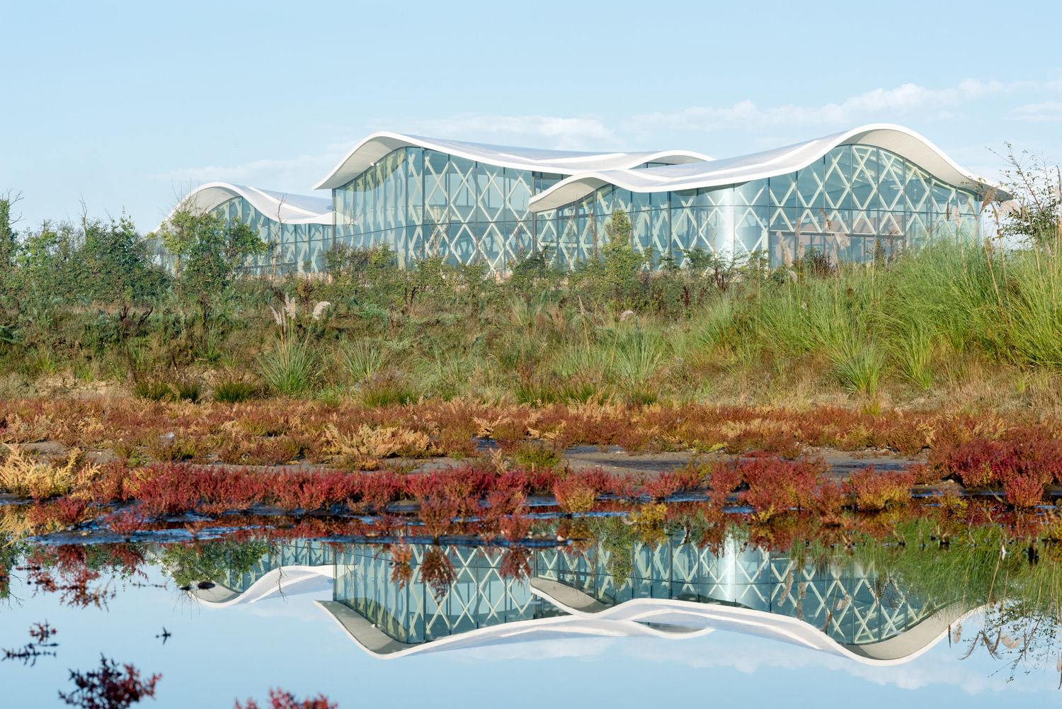 体育馆丨MultiplexeAquatique-22