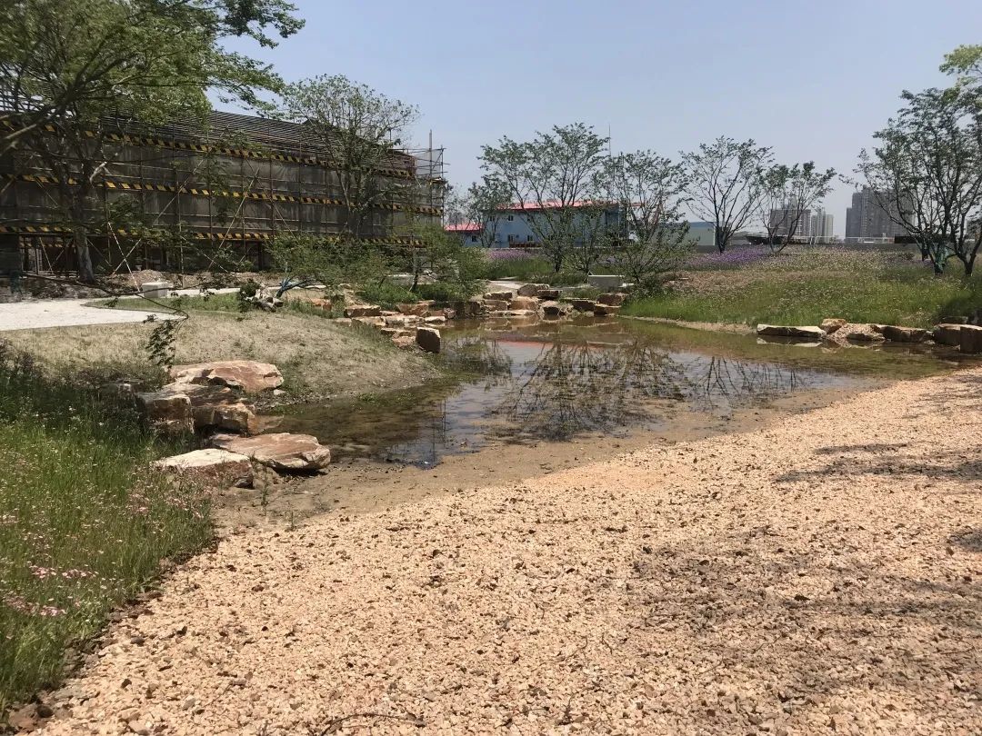 杨树浦六厂滨江公共空间更新·电站辅机厂东厂丨中国上海丨刘宇扬建筑事务所-220