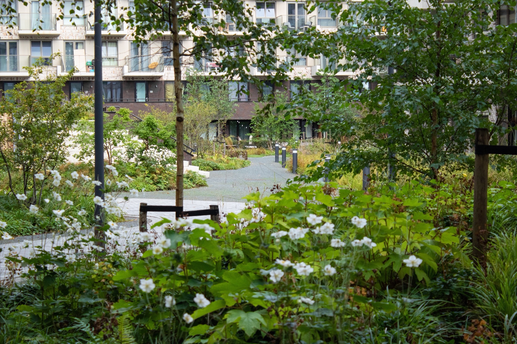 绿意盎然的城市校园 · 阿姆斯特丹 Lieven 公寓丨荷兰阿姆斯特丹丨Bureau B+B-12