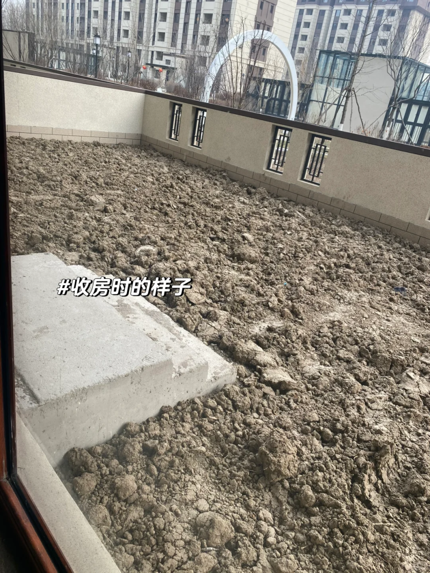 辽宁一女子的院子火了,拒绝过度布置,那叫一个高级,羡慕-4