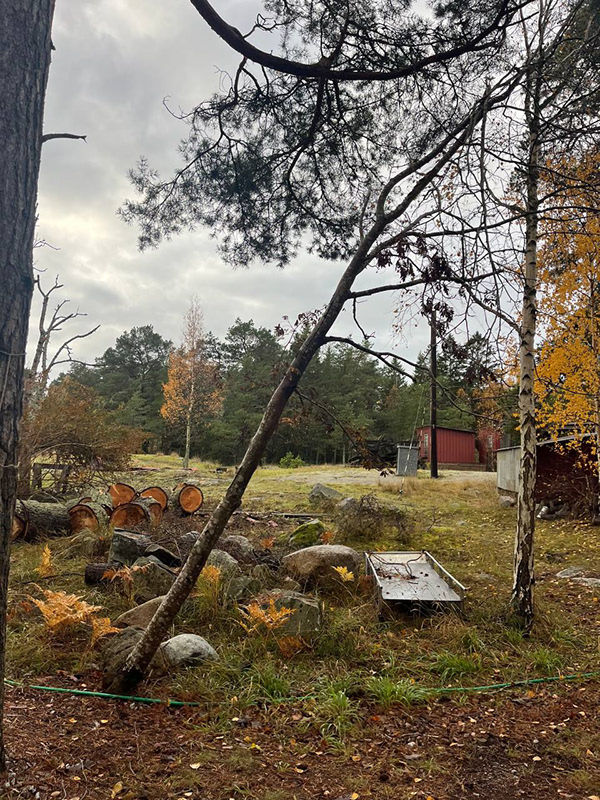 丨瑞典斯德哥尔摩丨Melina Ellvin,Oksana Pidleteichuk-8